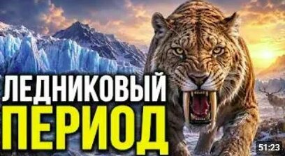 Звери Rutube