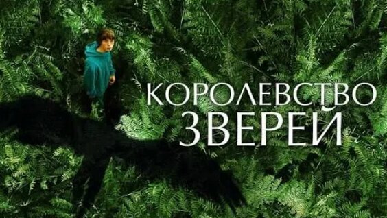 Звери VK Видео