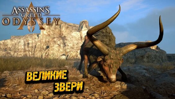 Звери VK Видео