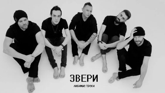 Звери Rutube