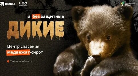 Звери Дзен