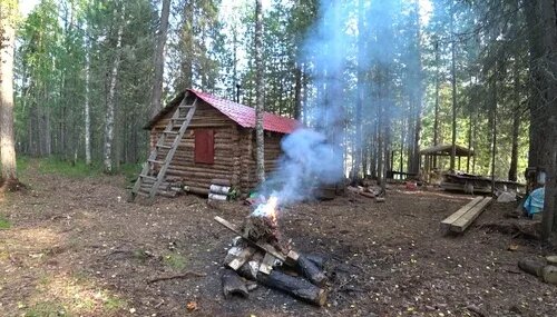 Звери Дзен