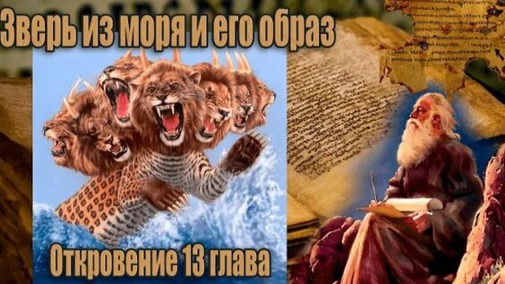 Звери Rutube
