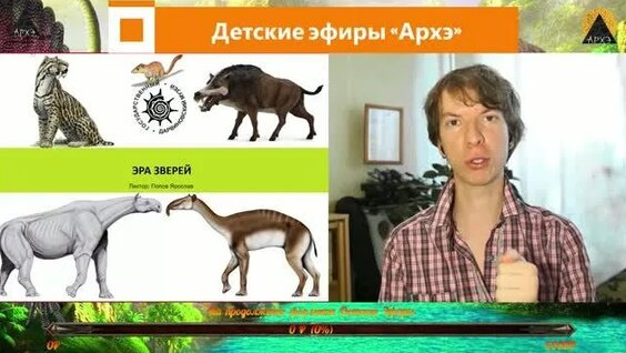 Звери Rutube